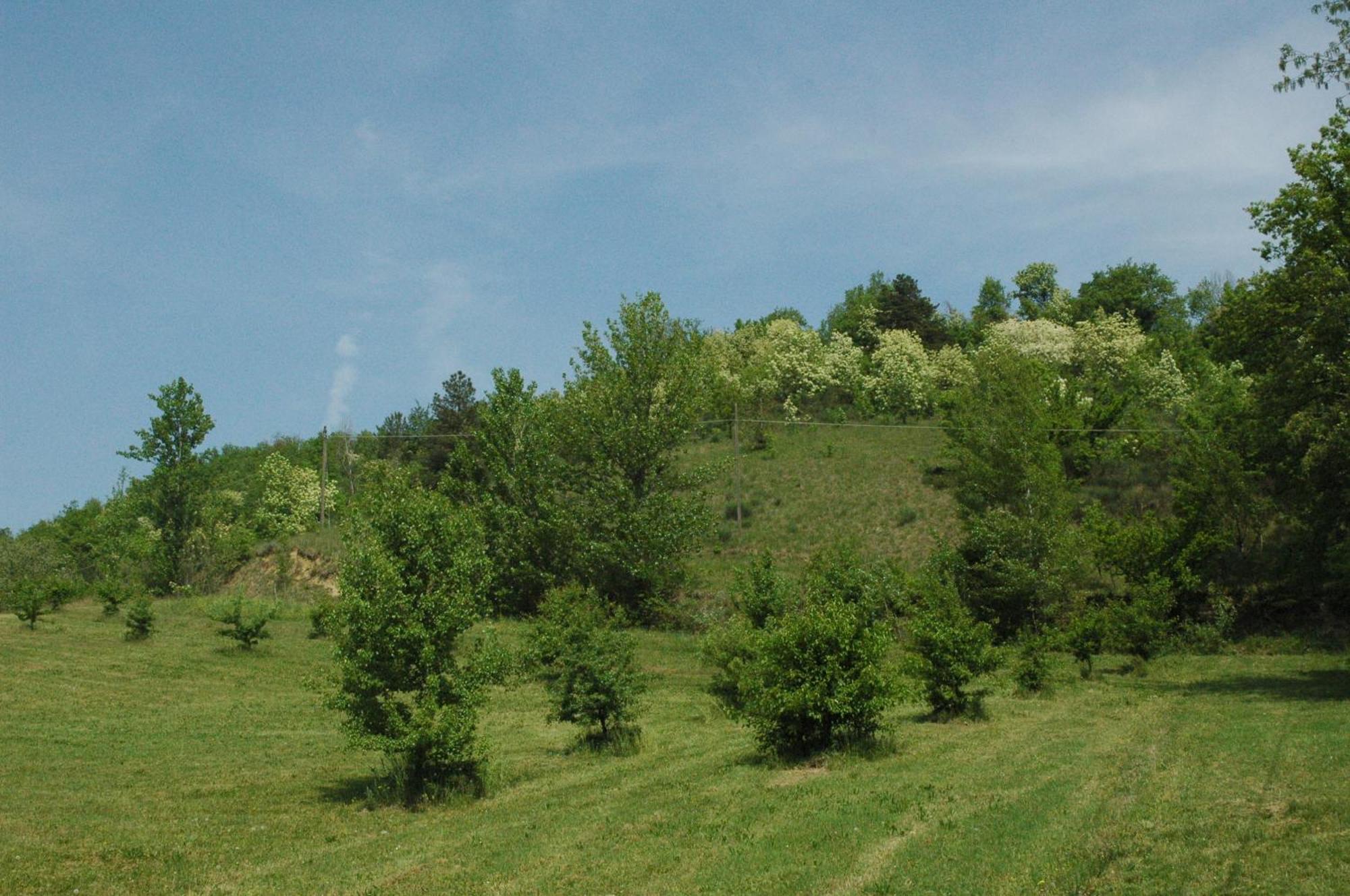 Agriturismo Rio Verde Sasso Marconi Exteriér fotografie